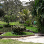 Image of Peru - Maca Loca